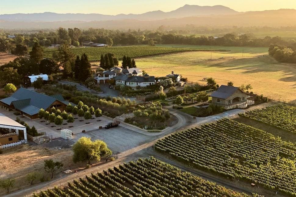 Food plays an important role at Bricoleur Vineyards.